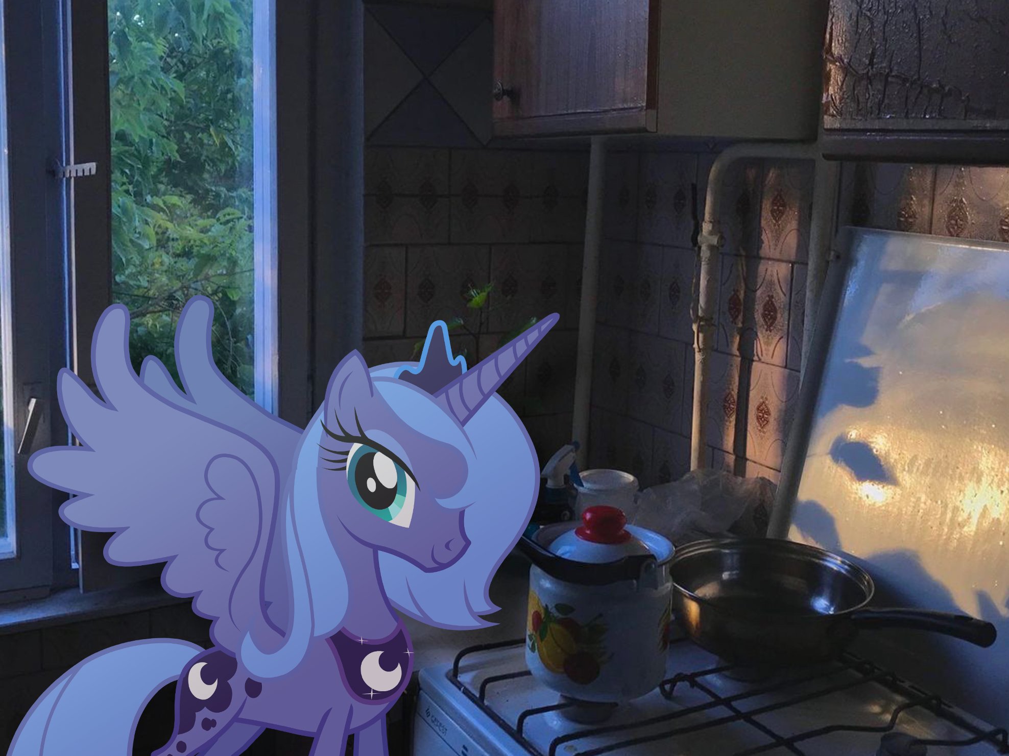 Luna in kitchen