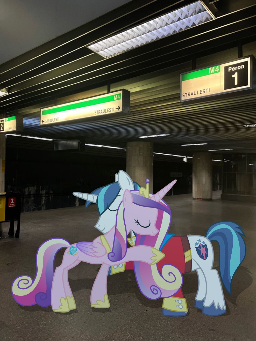 Cadance and Shining Armor at station