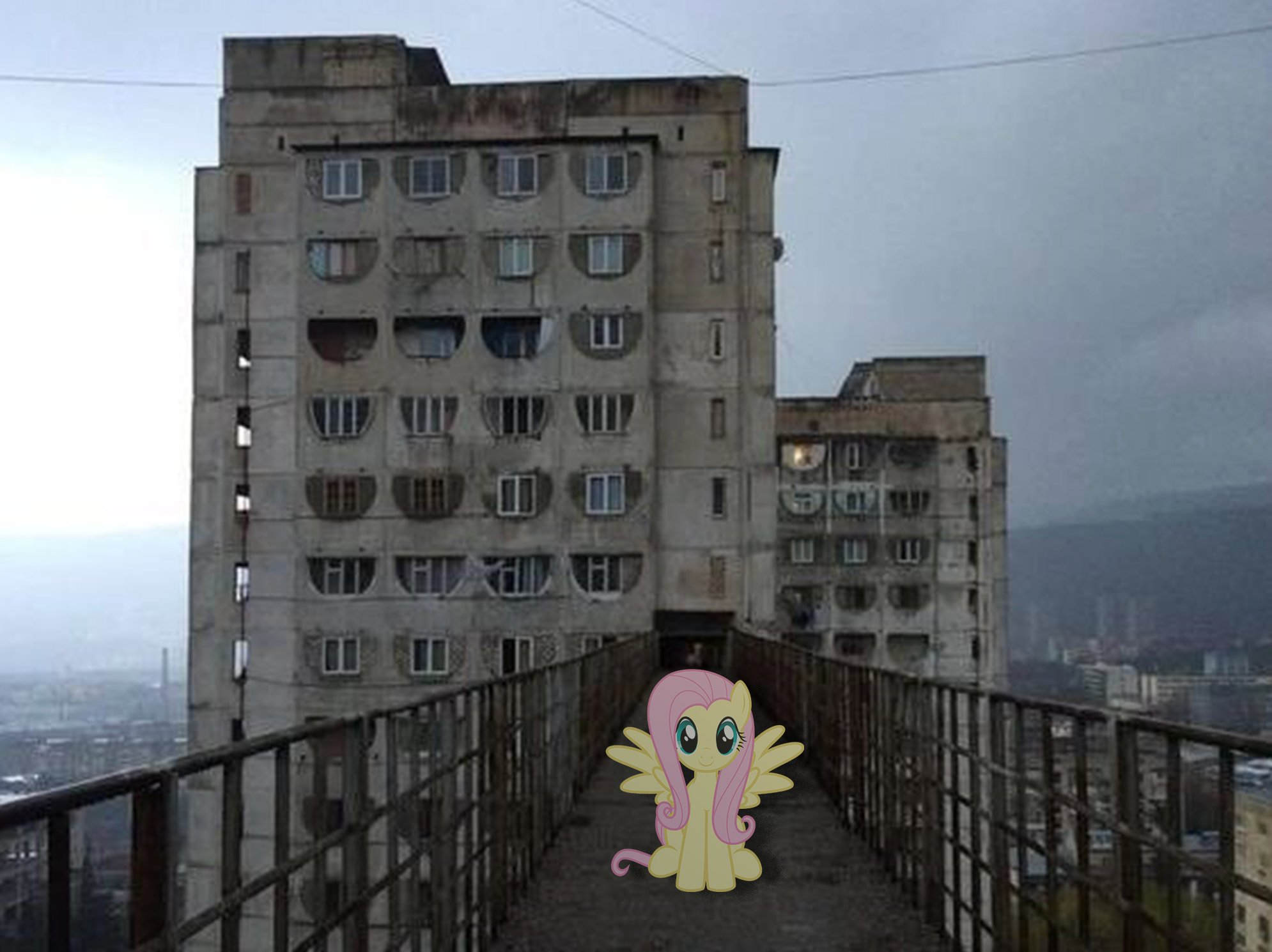 Fluttershy on rooftop bridge