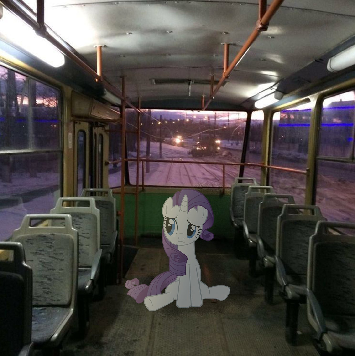 Rarity on tram