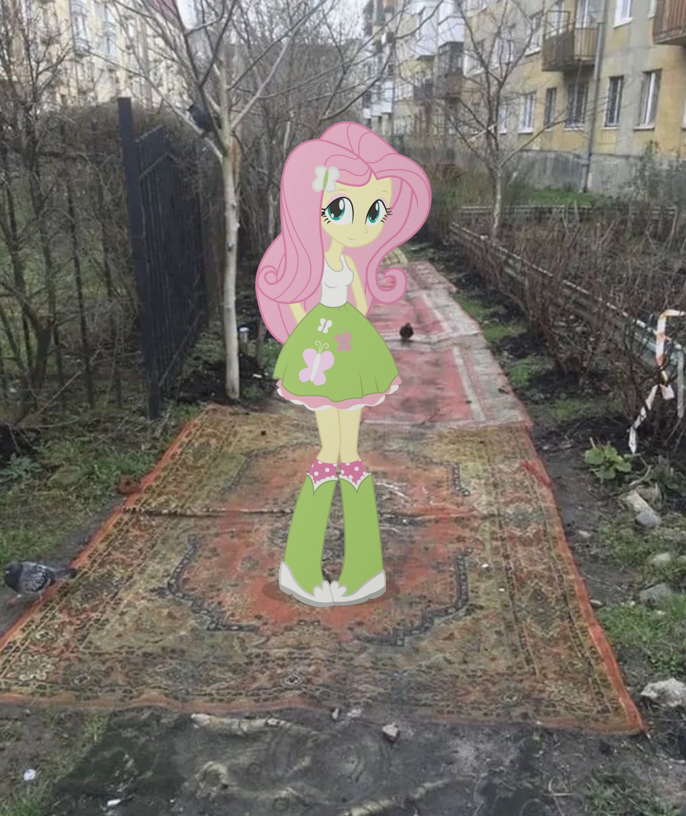Fluttershy EG on carpet outside